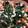 クックPX0BNC☆'s cooksnap of when they made ほうれん草の白あえ.