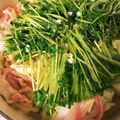 みまちゃん1112's cooksnap of when they made 白菜と豚バラ肉の和風豆乳ミルフィーユ.