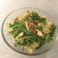 ナピト's cooksnap of when they made ★むね肉でおつまみサラダ★.