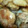 yukariin's cooksnap of when they made 簡単de手間いらず〜鶏の照り焼き〜.