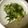 らぶクック's cooksnap of when they made フレッシュ広島菜とおあげの和え物.