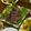 クックPQVJ4R☆'s cooksnap of when they made 超簡単!! ローストビーフ.