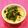 あーこ姐's cooksnap of when they made クリーミー塩昆布リゾット♡ココットカマン.