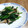 黒兎あんこ's cooksnap of when they made ほうれん草とエリンギのバタポン炒め.