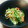 イケメグ's cooksnap of when they made 豆苗とカニカマのオイマヨ炒め.