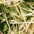 クックQ1UMSY☆'s cooksnap of when they made 水菜＆蓮根のサラダ☆ゆず胡椒ドレッシング.