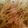 クックOODY9V☆'s cooksnap of when they made ツナ缶で簡単！棒々鶏♪.