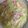 クックQNOM99☆'s cooksnap of when they made ダシダで簡単。白菜カニカマえのきスープ.
