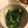 クックPW9C2T☆'s cooksnap of when they made 超簡単オクラのおひたし.