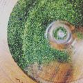 hicopo's cooksnap of when they made 海外ｄｅ緑茶の節約方法.