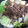みえもん's cooksnap of when they made 我が家のごちそう♡すき焼き.
