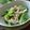 おしす's cooksnap of when they made 小松菜のお浸し～梅とナンプラーの風味～.