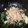 楽楽楽してる's cooksnap of when they made ほうれん草と鮭のチーズ蒸し焼き.