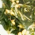 ＹＯＵ太's cooksnap of when they made 超簡単！もやしのおひたし.