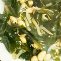 ＹＯＵ太's cooksnap of when they made 超簡単！もやしのおひたし.