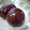 kyon510's cooksnap of when they made 栗の渋皮煮.