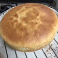 みーはーママ☆'s cooksnap of when they made ホットケーキミックスのスポンジケーキ.