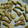 ちーぼーあいぴんこ's cooksnap of when they made ★卵不使用！簡単バターたっぷりクッキー★.