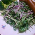 まあこmm's cooksnap of when they made 赤水菜のからしマヨ☆サラダ.