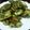 ひなたこやき's cooksnap of when they made ほたてとちくわのカリッ！と磯辺揚げ.