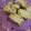 なつきばぁば's cooksnap of when they made ガリのたまご焼き.