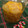 クック日和's cooksnap of when they made 簡単☆塩ゆずの作り方.