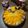 amherst_ma's cooksnap of when they made ゆずのババロワ.