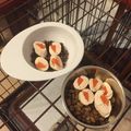 JISU☆'s cooksnap of when they made 犬ごはん＊ヘルシーささみロール.