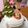 いちごみるく氷's cooksnap of when they made クリスマスツリークッキー.