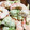 猫よーこ's cooksnap of when they made エビとロマネスコのわさびマヨ和え.