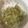 青沙◉'s cooksnap of when they made やみつき！セロリの炒めもの.