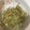 青沙◉'s cooksnap of when they made やみつき！セロリの炒めもの.