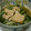 クックI4GGAU☆'s cooksnap of when they made 水菜とあげのあっさり煮物.
