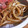 procyon722's cooksnap of when they made 簡単すぎ！美味しすぎ！やみつきもやし♪.