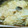Punie☆'s cooksnap of when they made 土鍋で簡単！白菜とツナのみぞれ煮.