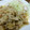 はるかっち１号's cooksnap of when they made 簡単*お肉やわらか〜♡生姜焼き！.
