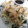 パパの手料理☆'s cooksnap of when they made 箸がとまらない。新玉ねぎのさっぱりサラダ.