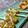 のんのんSTELLA's cooksnap of when they made お魚ソーセージの粒マスタード団子♪.