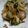 クックUPFDDQ☆'s cooksnap of when they made 白菜の和風炒め.