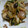 クックUPFDDQ☆'s cooksnap of when they made 白菜の和風炒め.