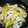 gajyumama's cooksnap of when they made いかとセロリとしょうがの甘酢炒め.