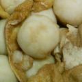 個覧夢's cooksnap of when they made 里芋と油揚げの煮物.
