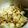 xupoko's cooksnap of when they made ふじっ子煮ごま昆布で朝食おにぎり♪.