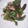 マヨメロディー's cooksnap of when they made 10分で簡単！ピーマンと椎茸の煮浸し.