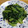 みなあゆママ's cooksnap of when they made 簡単！小松菜のガーリック炒め.