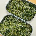 だいきちくうくうワン's cooksnap of when they made 大根葉のふりかけ.