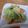ポニーリボン's cooksnap of when they made 春キャベツと厚揚げの生姜焼き.