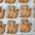 こぴぴぴぴ's cooksnap of when they made 全粒粉１００％クッキー.