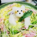haraぺこsao's cooksnap of when they made 鶏の大根おろしアート(みぞれ)鍋.