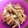 beccook's cooksnap of when they made かんたん♡節約♡鶏皮ともやしの炒めもの.